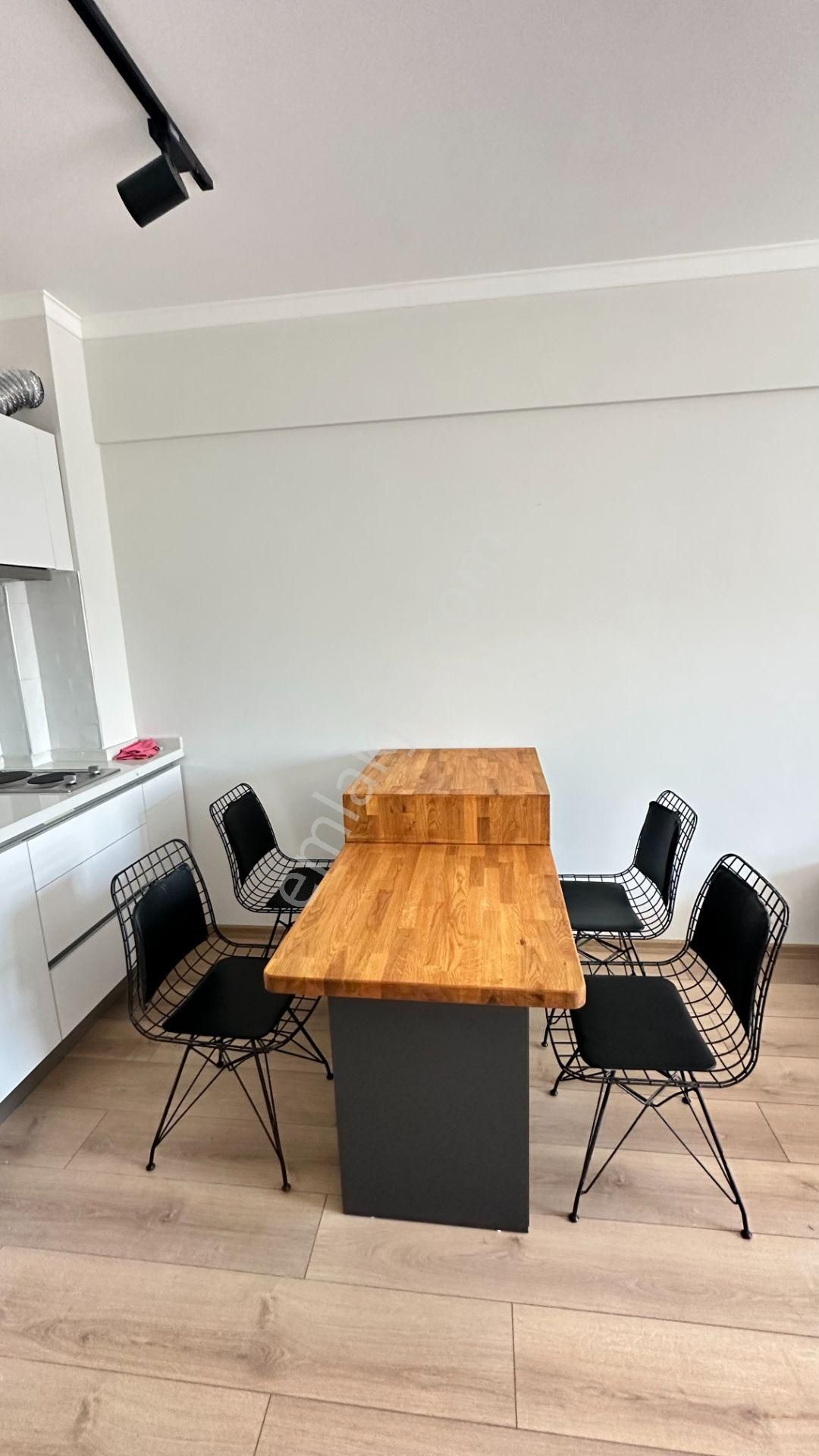 Barbaros Mahallesi Adliye Karşısında Full Eşyalı 1+1 - Görsel 17