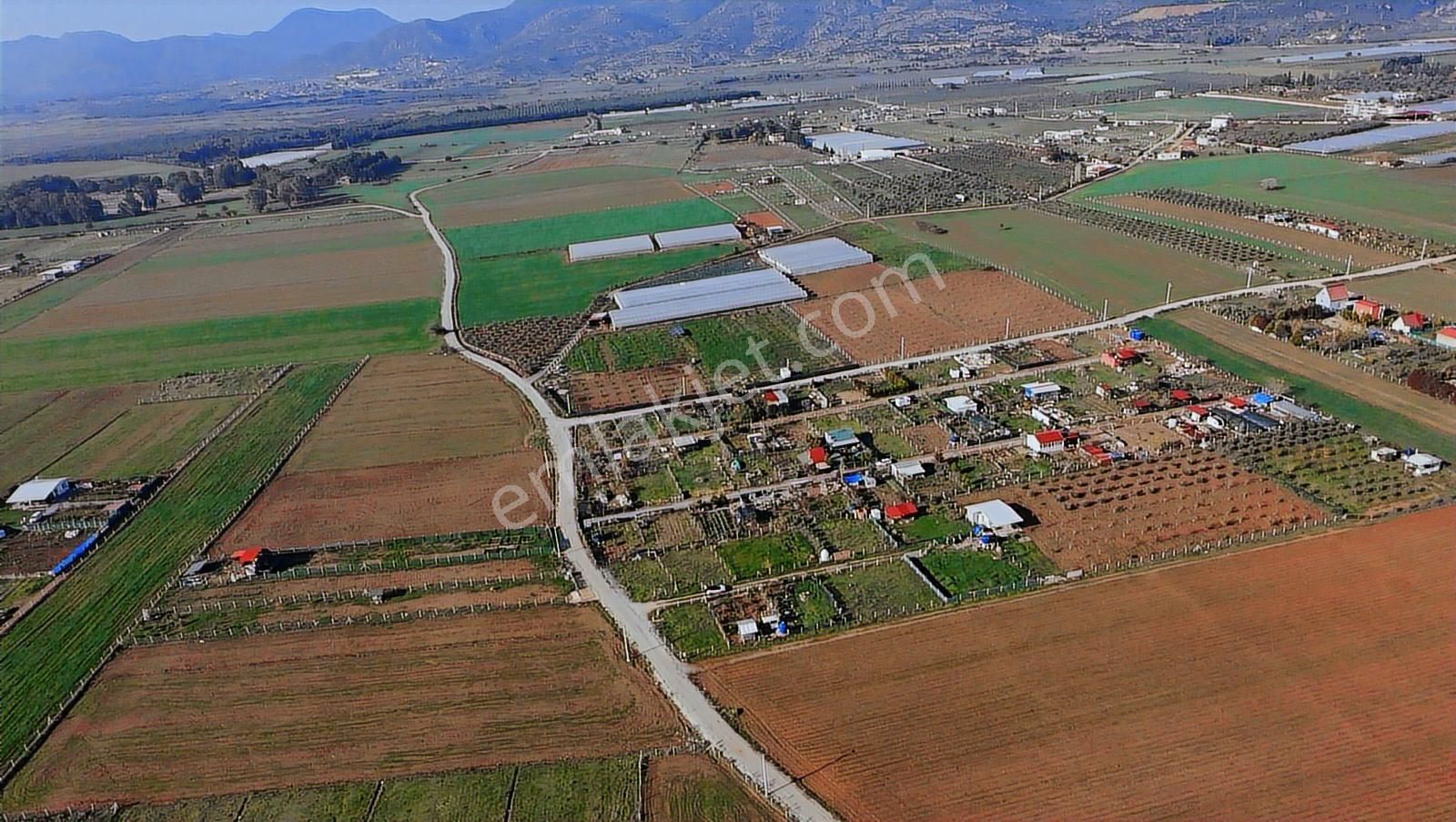 İzmir Menderes Develide 250 M², Elektriksu Hazır Tapudan Satış - Görsel 14