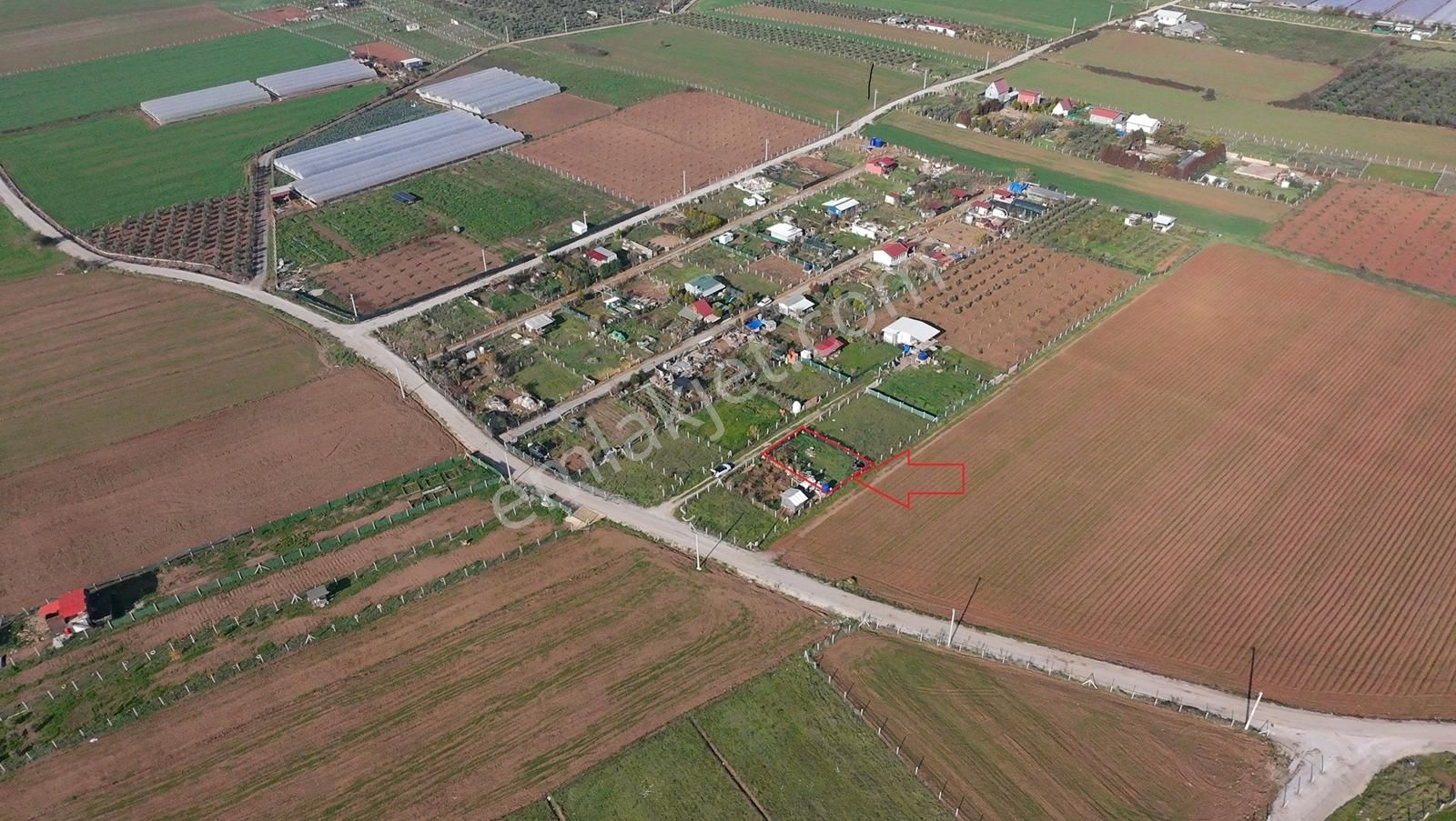 İzmir Menderes Develide 250 M², Elektriksu Hazır Tapudan Satış - Görsel 8