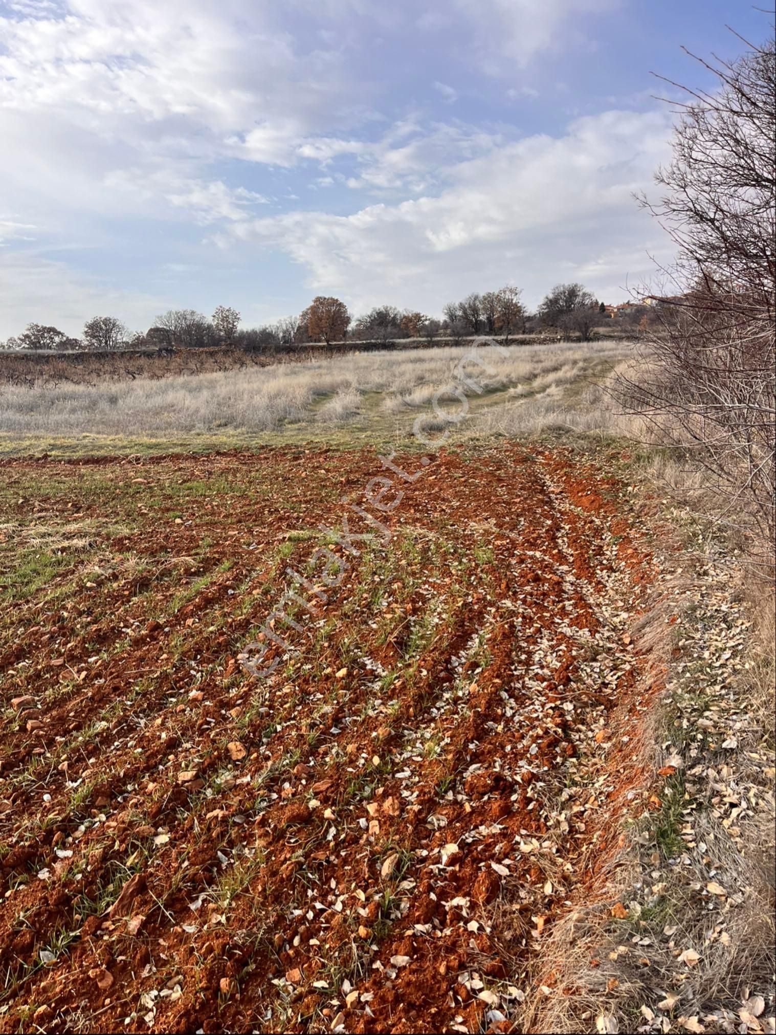 Karahallıda 6631m2 Yolu Suyu Olan Tarla - Görsel 2
