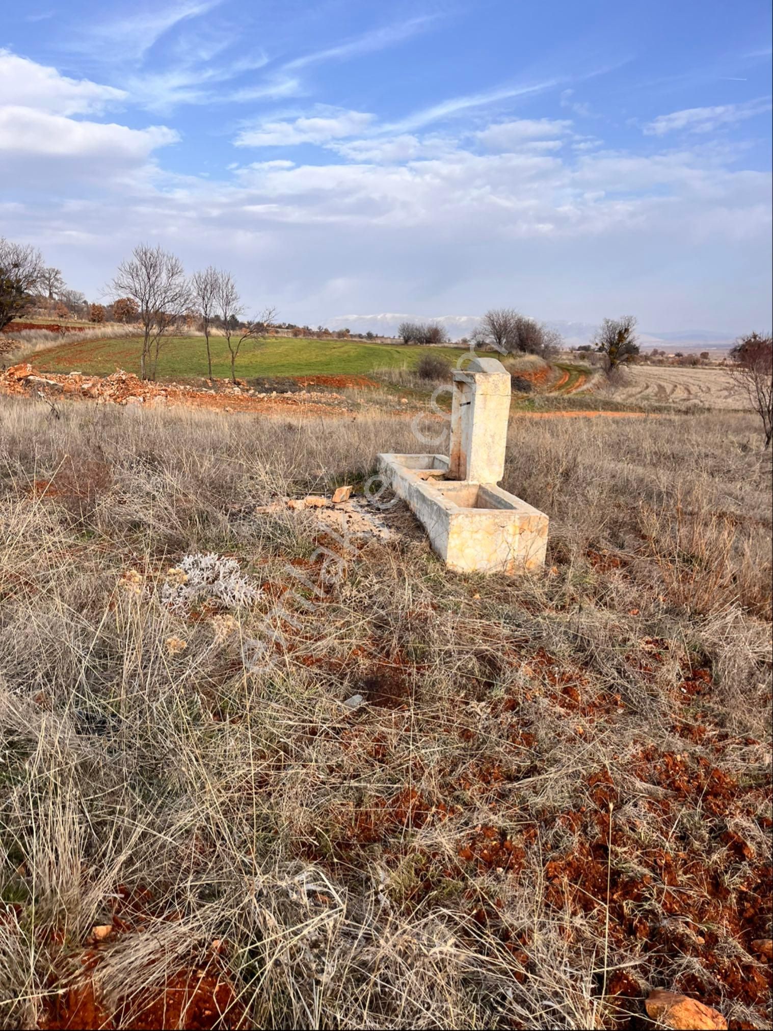 Karahallıda 6631m2 Yolu Suyu Olan Tarla - Görsel 7