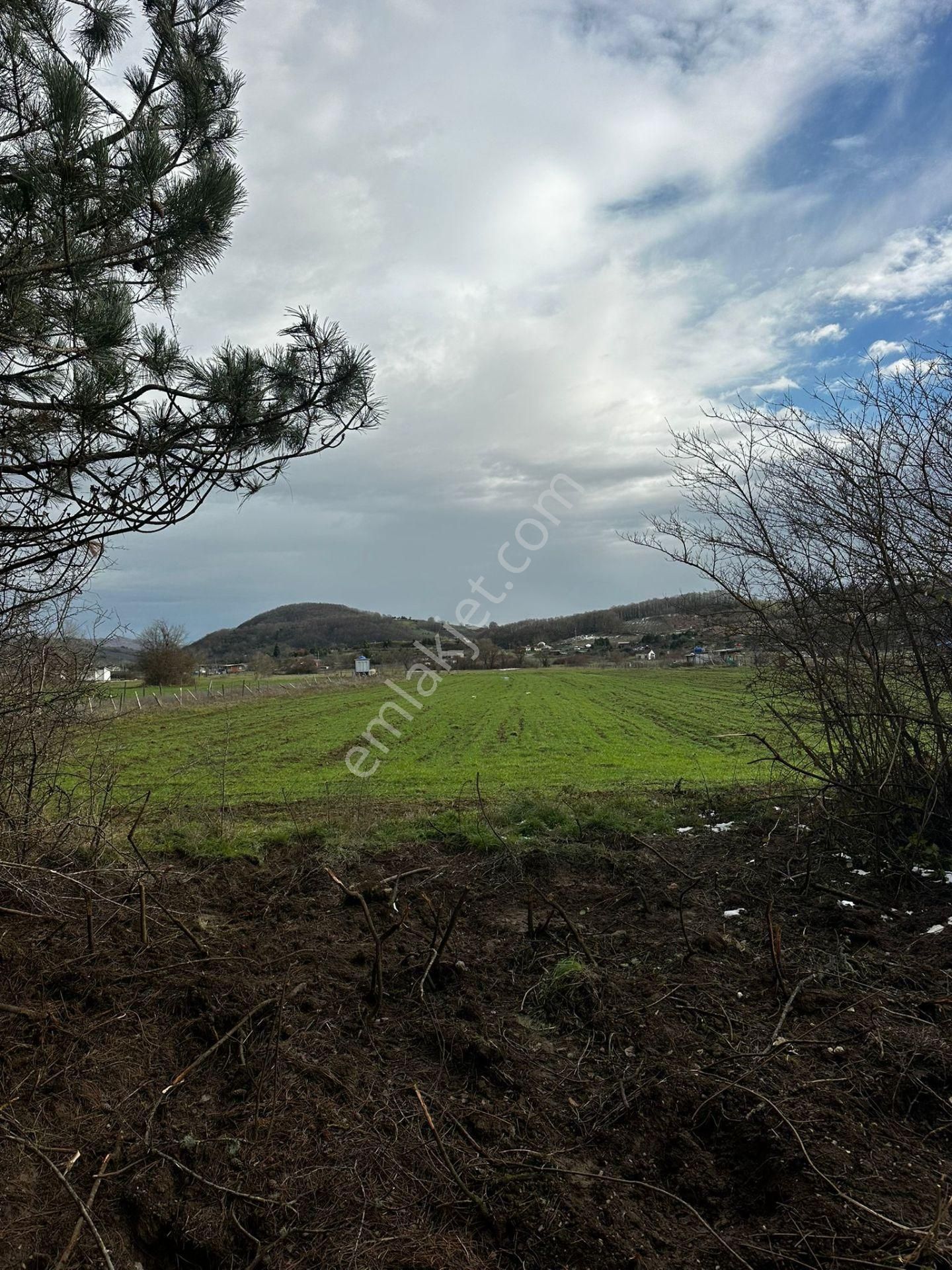 Dc Gayrimenkul'den Ağva Geredeli'de 430m2 Yola Cephe Arazi - Görsel 2