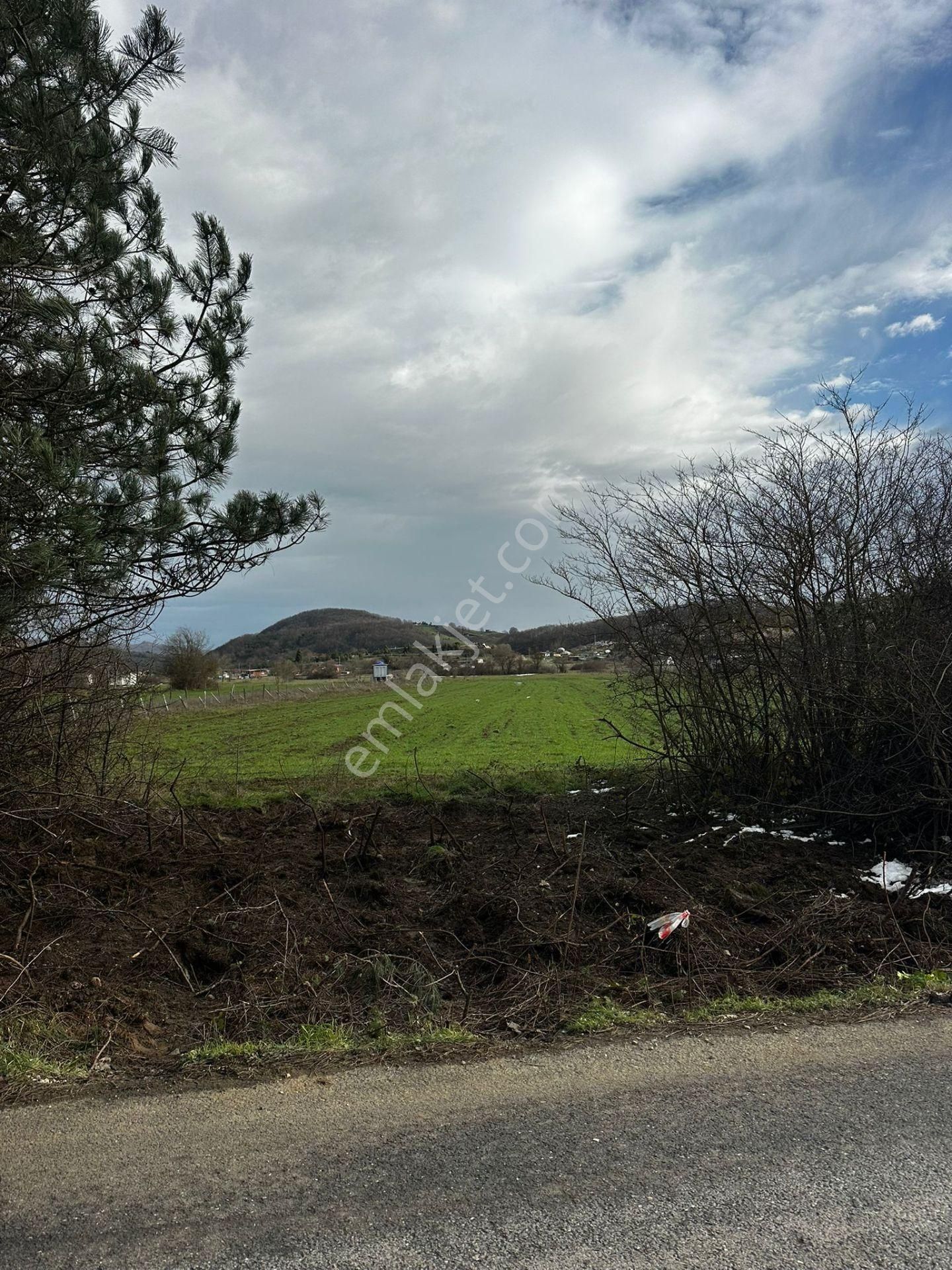 Dc Gayrimenkul'den Ağva Geredeli'de 430m2 Yola Cephe Arazi - Görsel 5