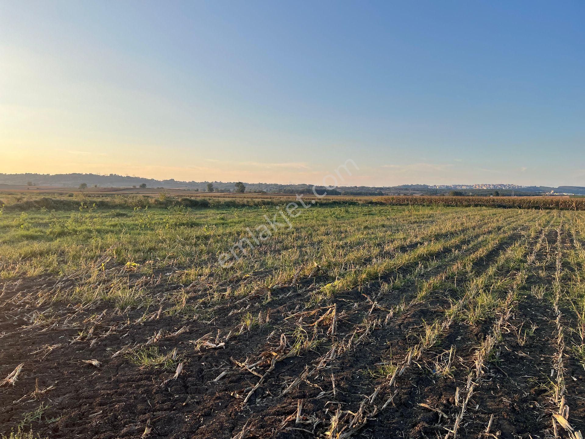 Alandüzü'nde Yatırımlık Tarla - Görsel 6