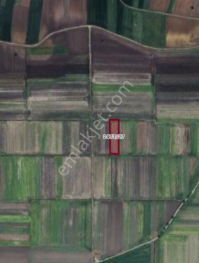 Alandüzü'nde Yatırımlık Tarla - Görsel 2