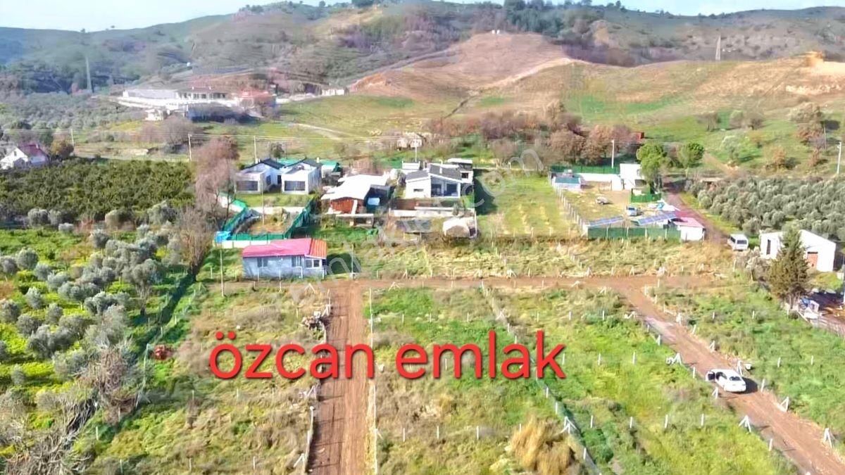 Tapulu Tarla Köyiçi Bu Fiyata Başka Yer Yok - Görsel 3