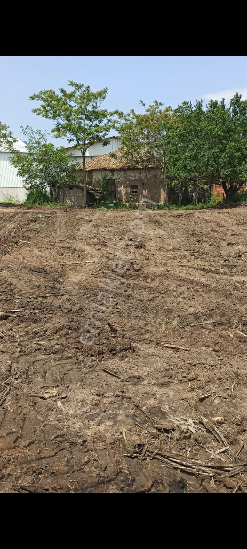 My Ekipdenbursa Karacabey Sultaniyede Müstakil Tapulu Konut İmarlı Arsa - Görsel 5