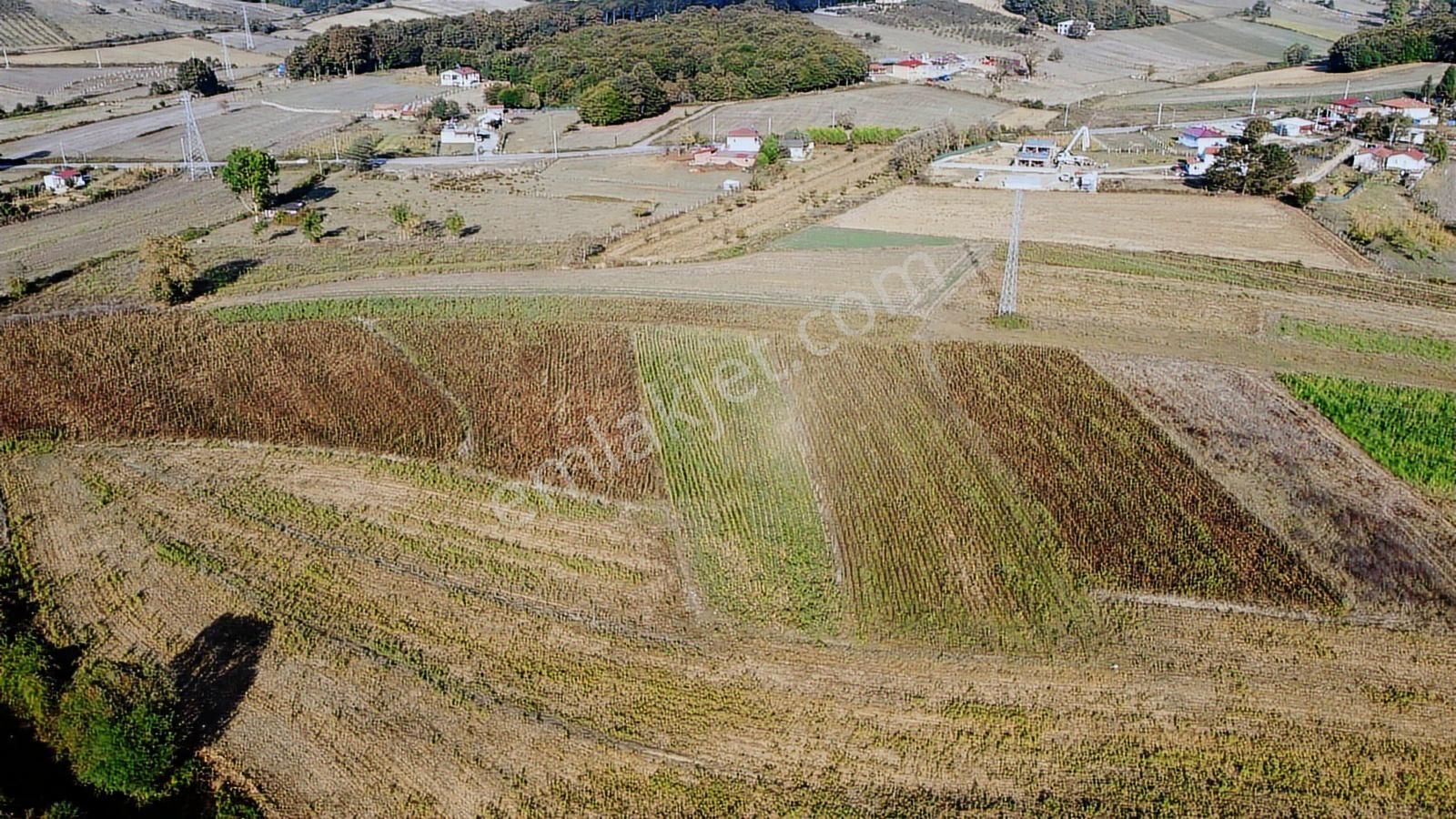 Duraklıda Köye Yakın Yatırımlık Arazi - Görsel 5