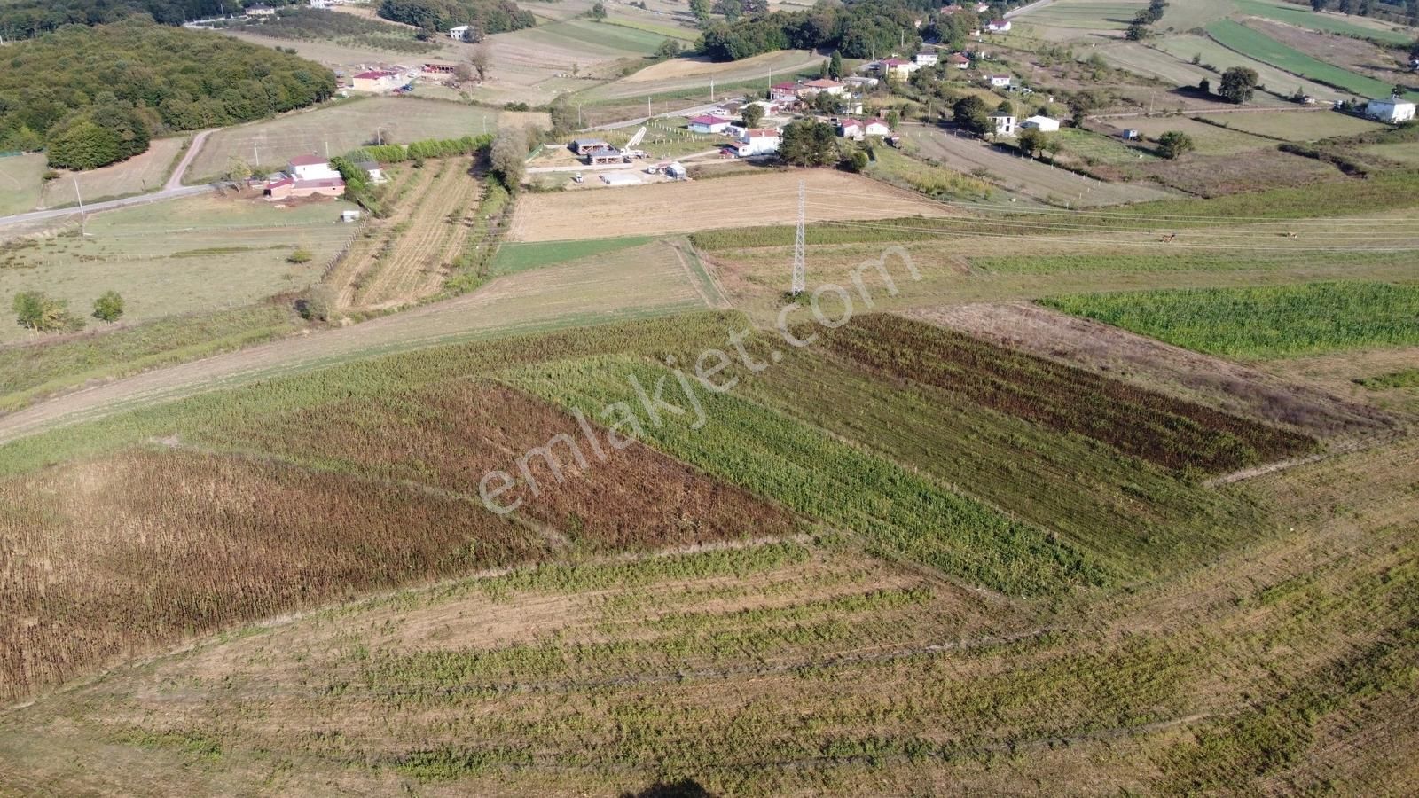 Duraklıda Köye Yakın Yatırımlık Arazi - Görsel 19