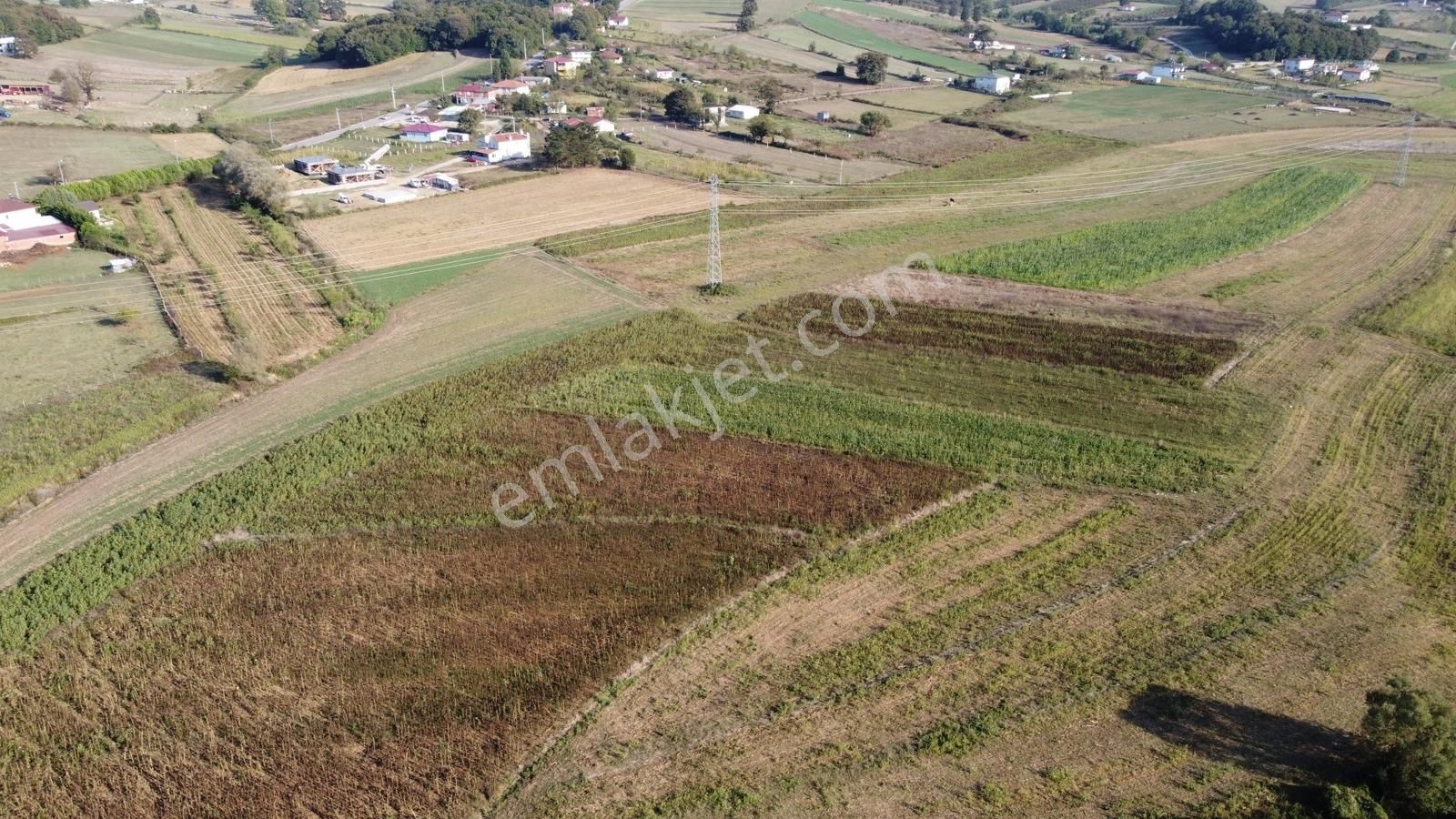 Duraklıda Köye Yakın Yatırımlık Arazi - Görsel 22