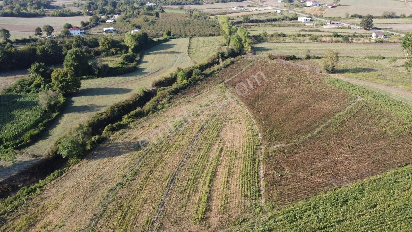 Duraklıda Köye Yakın Yatırımlık Arazi - Görsel 3