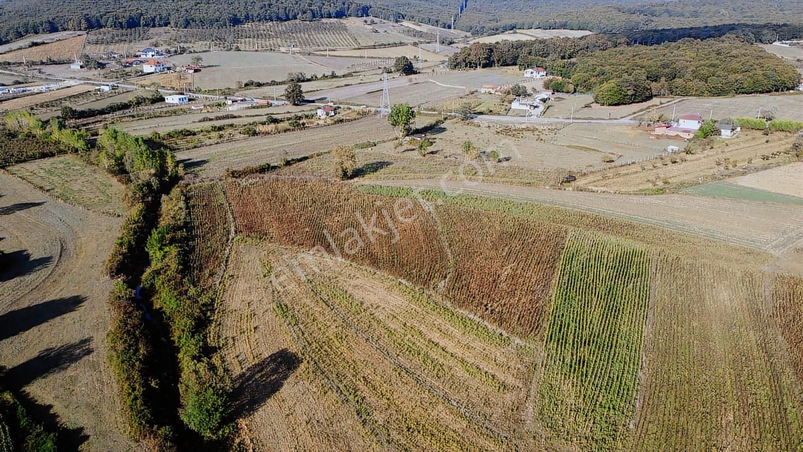 Duraklıda Köye Yakın Yatırımlık Arazi - Görsel 34