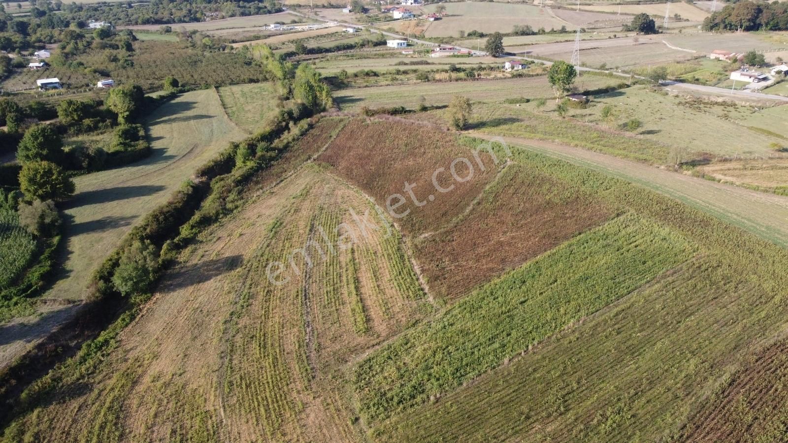 Duraklıda Köye Yakın Yatırımlık Arazi - Görsel 15