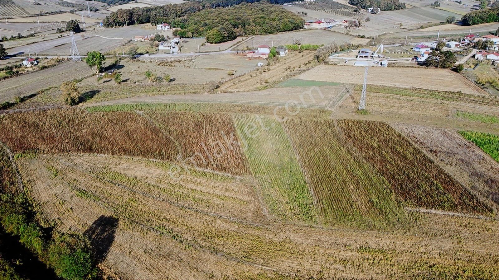 Duraklıda Köye Yakın Yatırımlık Arazi - Görsel 11