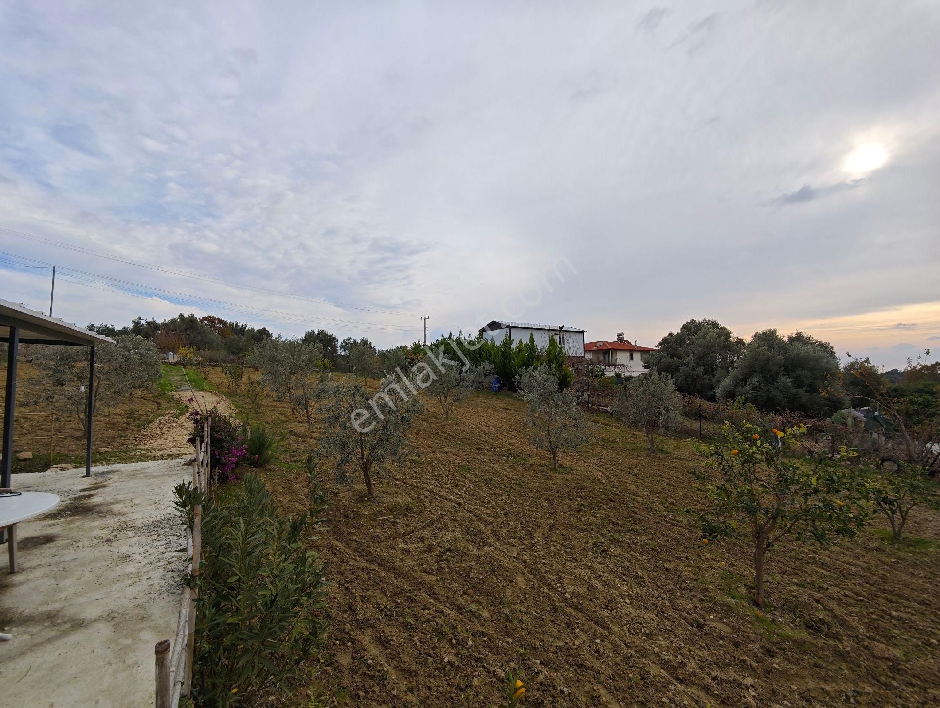 İdamax'tan Çenger'de Satılık Tarla - Görsel 10