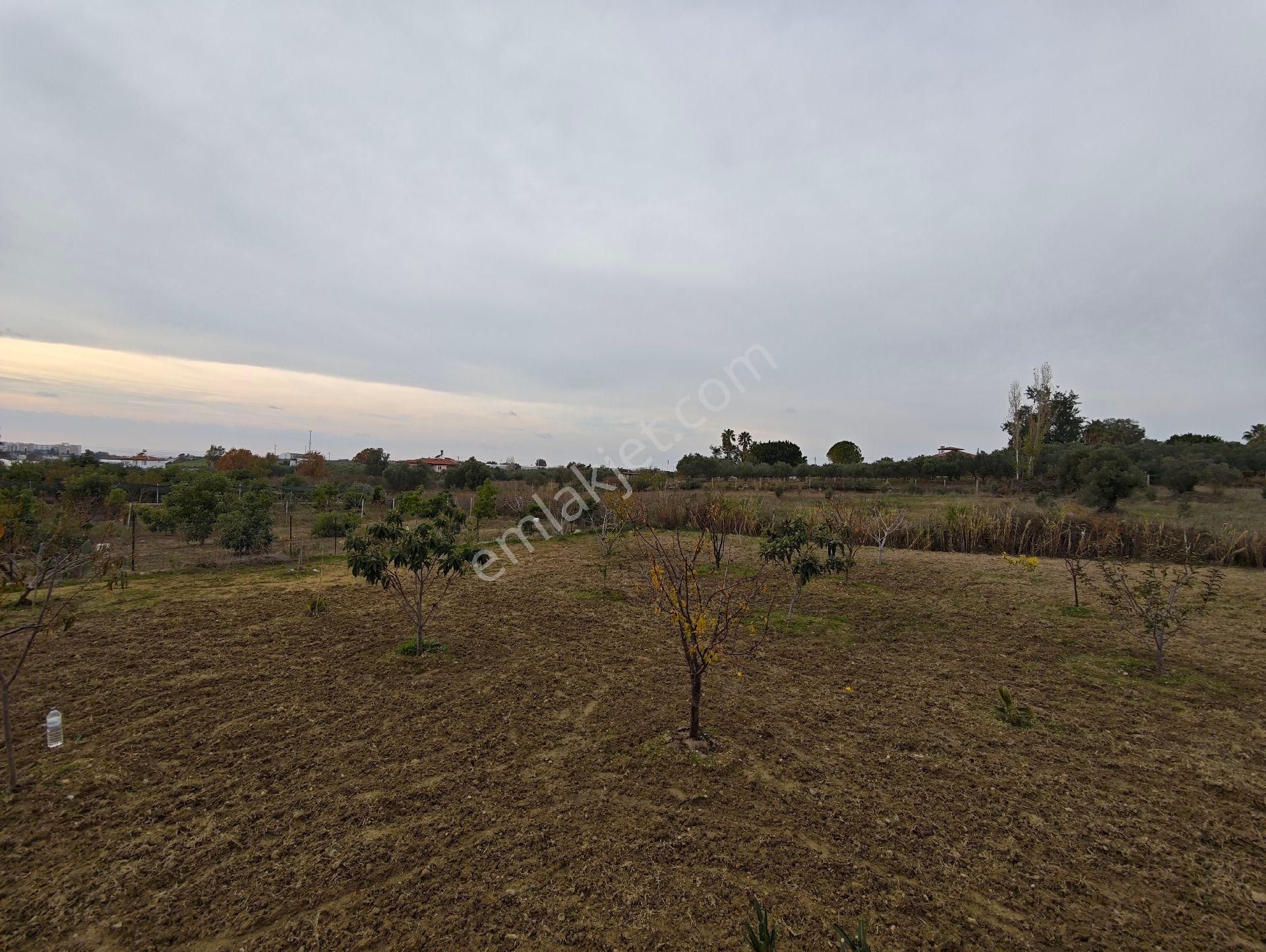 İdamax'tan Çenger'de Satılık Tarla - Görsel 13