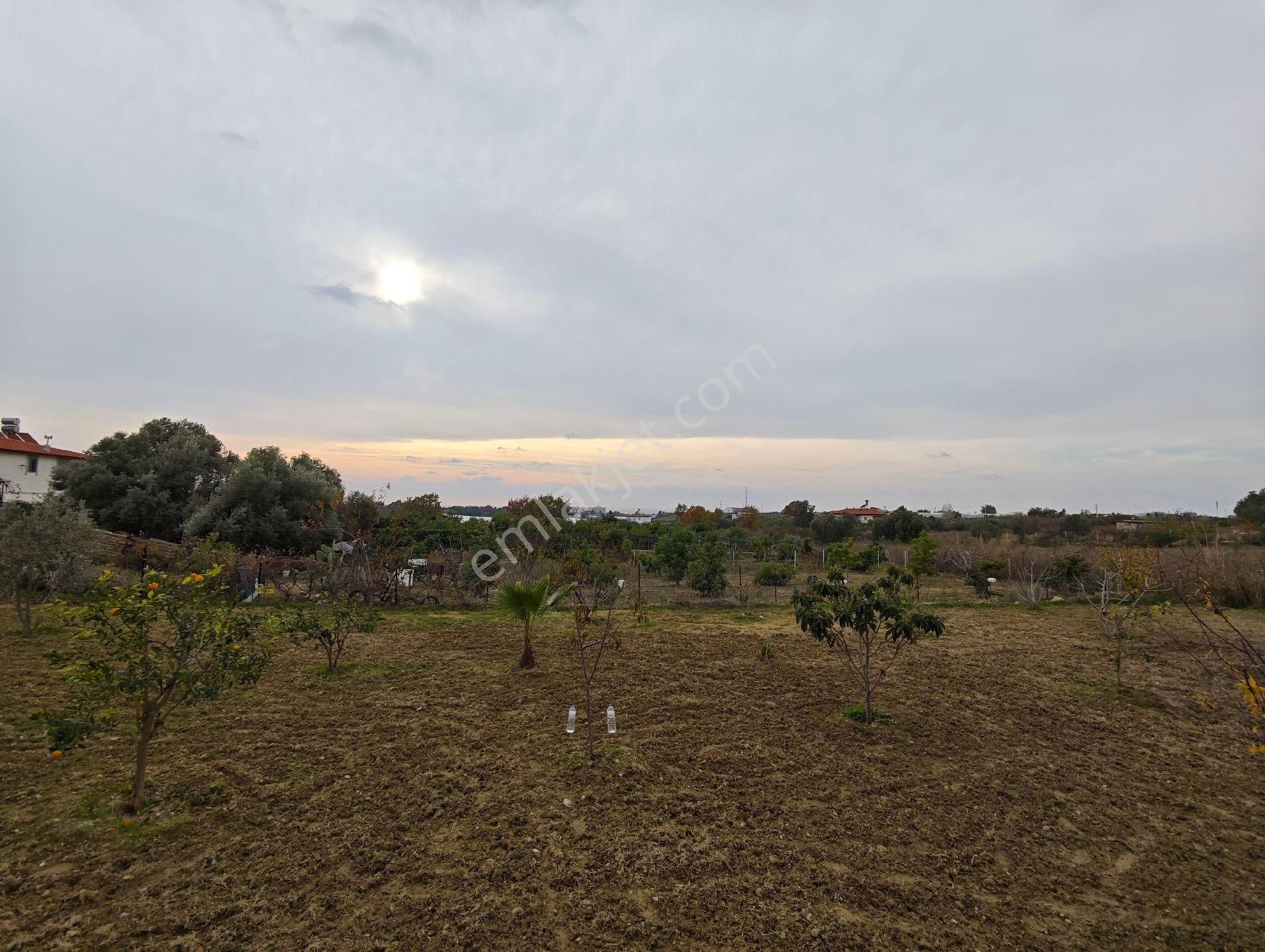 İdamax'tan Çenger'de Satılık Tarla - Görsel 12
