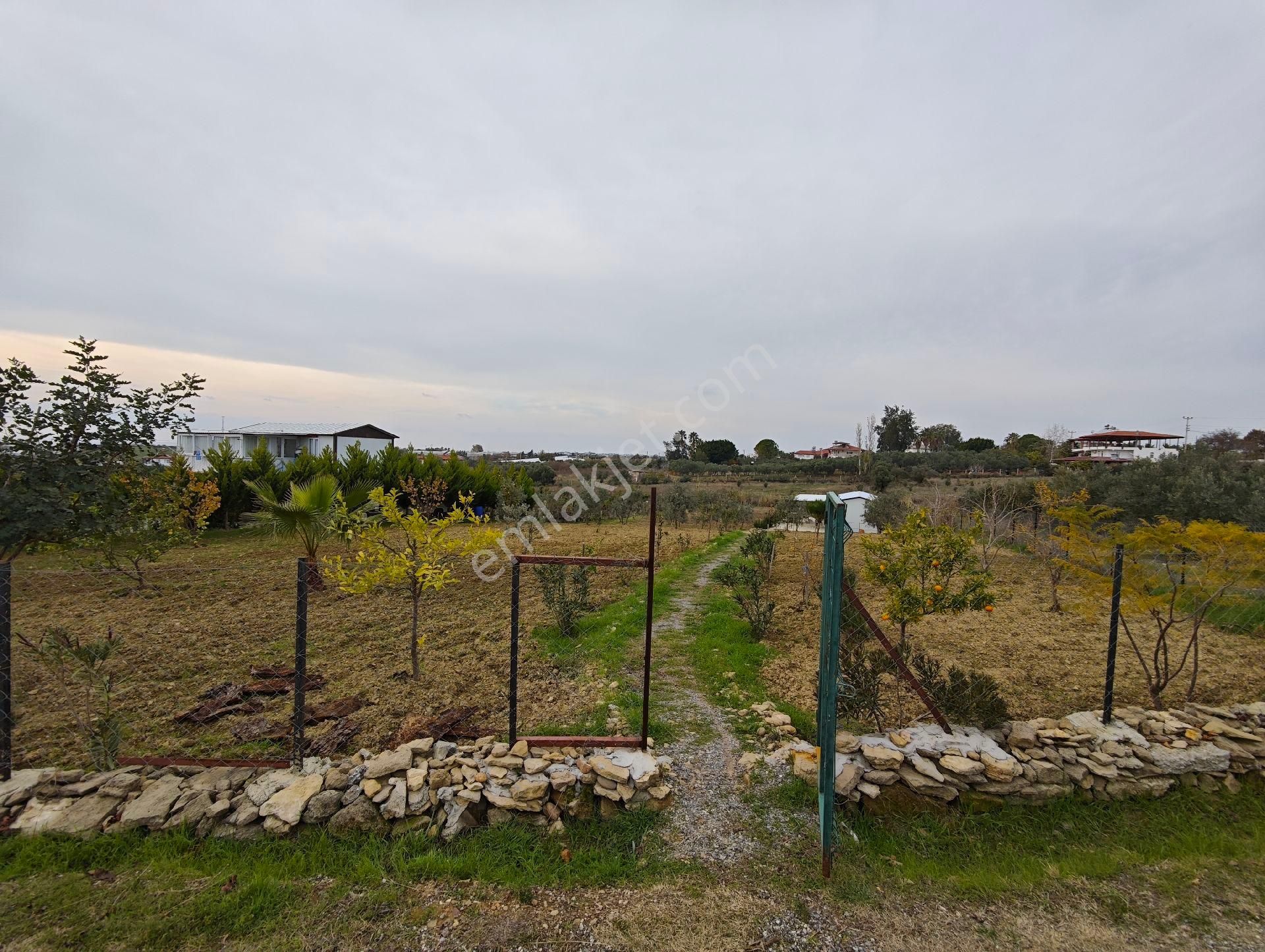 İdamax'tan Çenger'de Satılık Tarla - Görsel 20