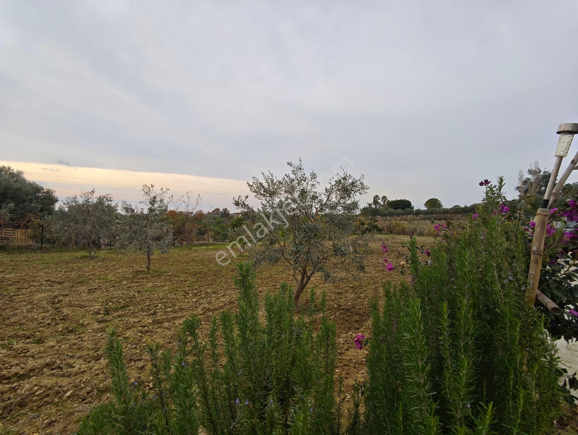 İdamax'tan Çenger'de Satılık Tarla - Görsel 4