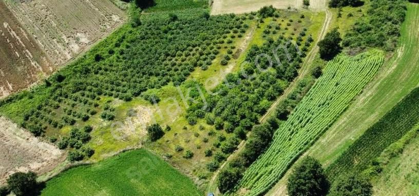 Sakarya Adapazarı Büyükhataplı Köyünde 9.361 M² Tarla Satılıktır