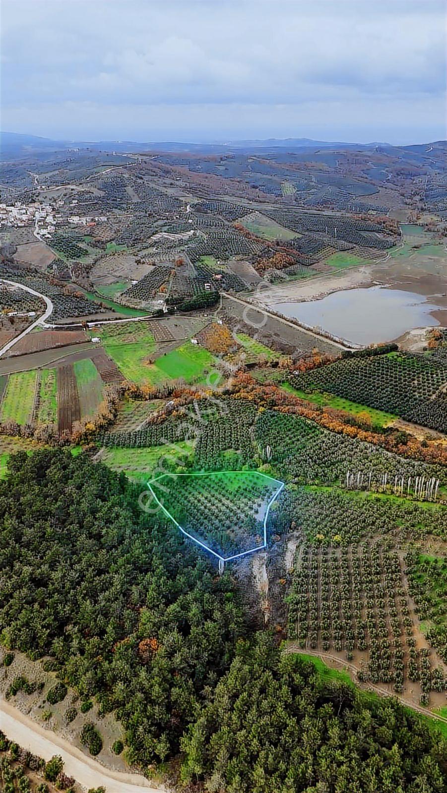 Best Everdan Mudanya Dereköyde Yatırımlık Tek Tapu Fırsat Arazi - Görsel 2