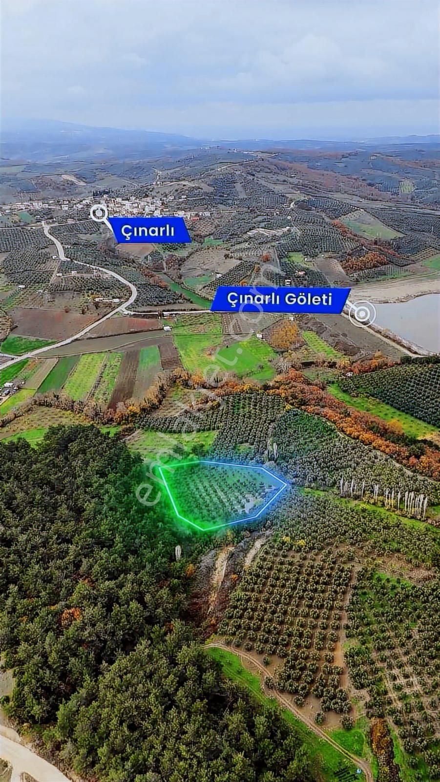 Best Everdan Mudanya Dereköyde Yatırımlık Tek Tapu Fırsat Arazi - Görsel 9