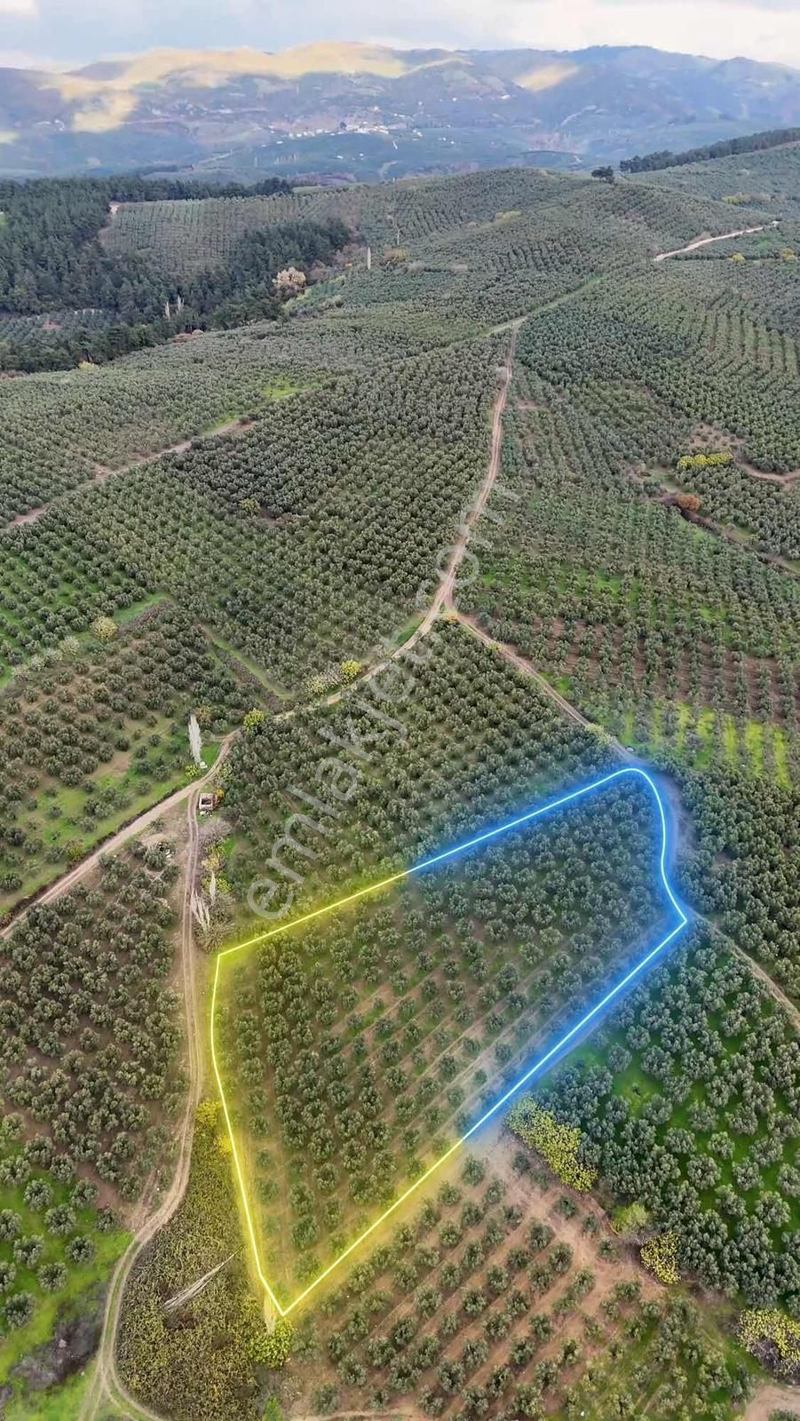 Mudanya Dereköyde Satılık Tek Tapu Arazi - Görsel 19