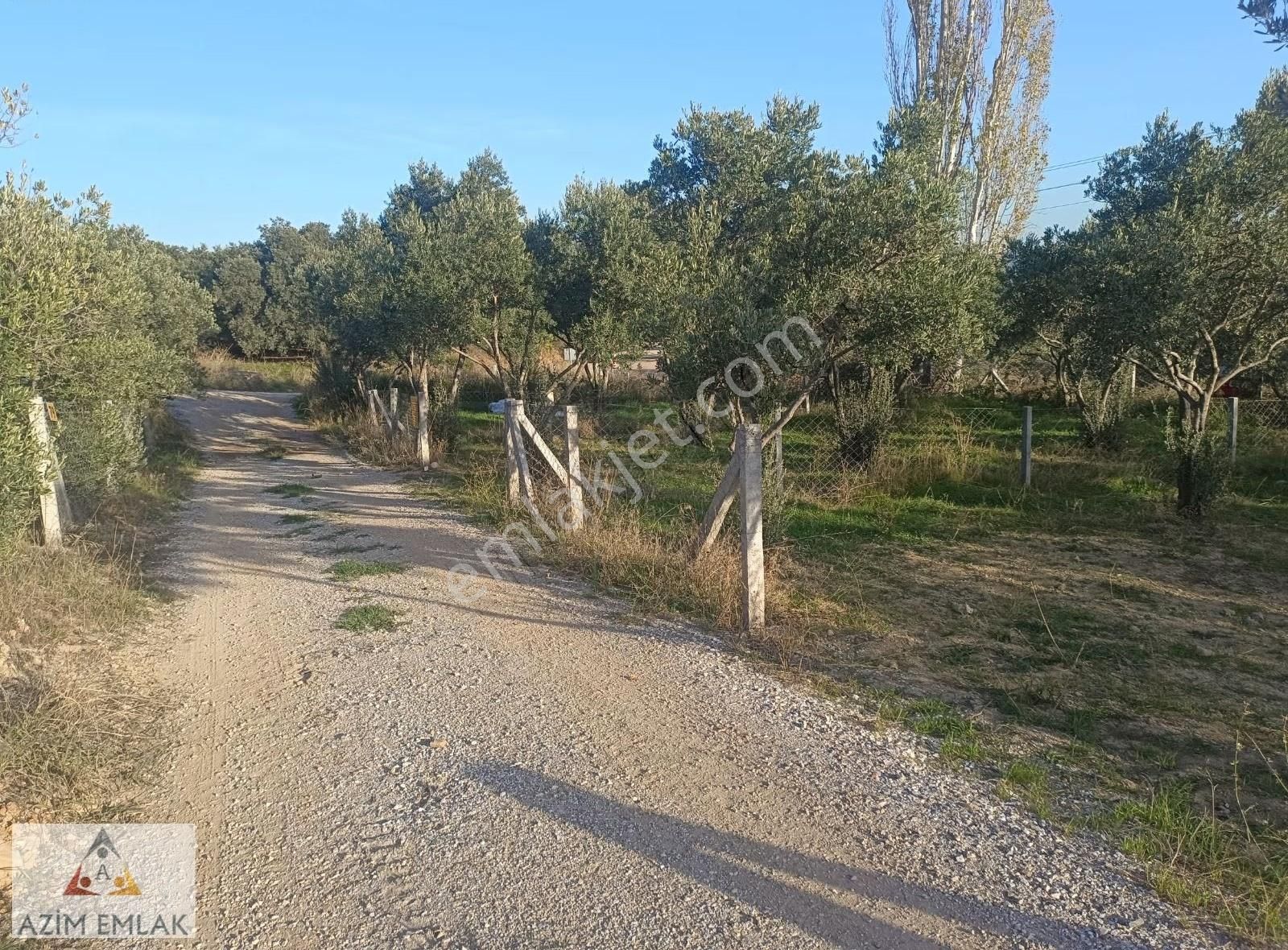 Dagkızılcada Satılık Bahçe - Görsel 22