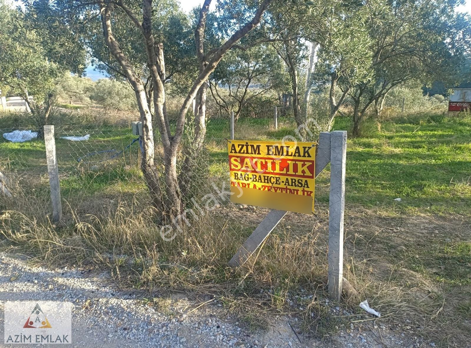 Dagkızılcada Satılık Bahçe - Görsel 12