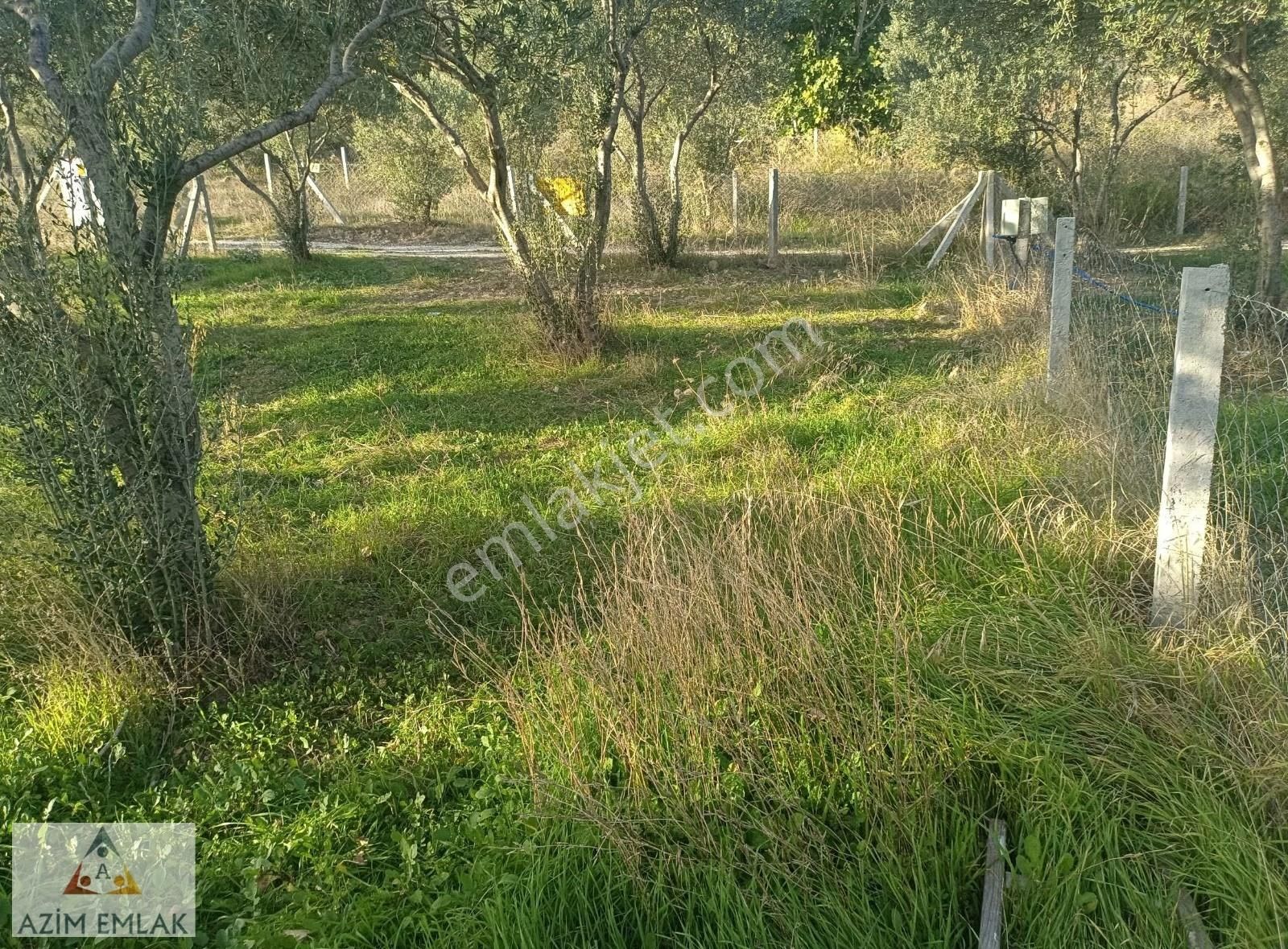 Dagkızılcada Satılık Bahçe - Görsel 10