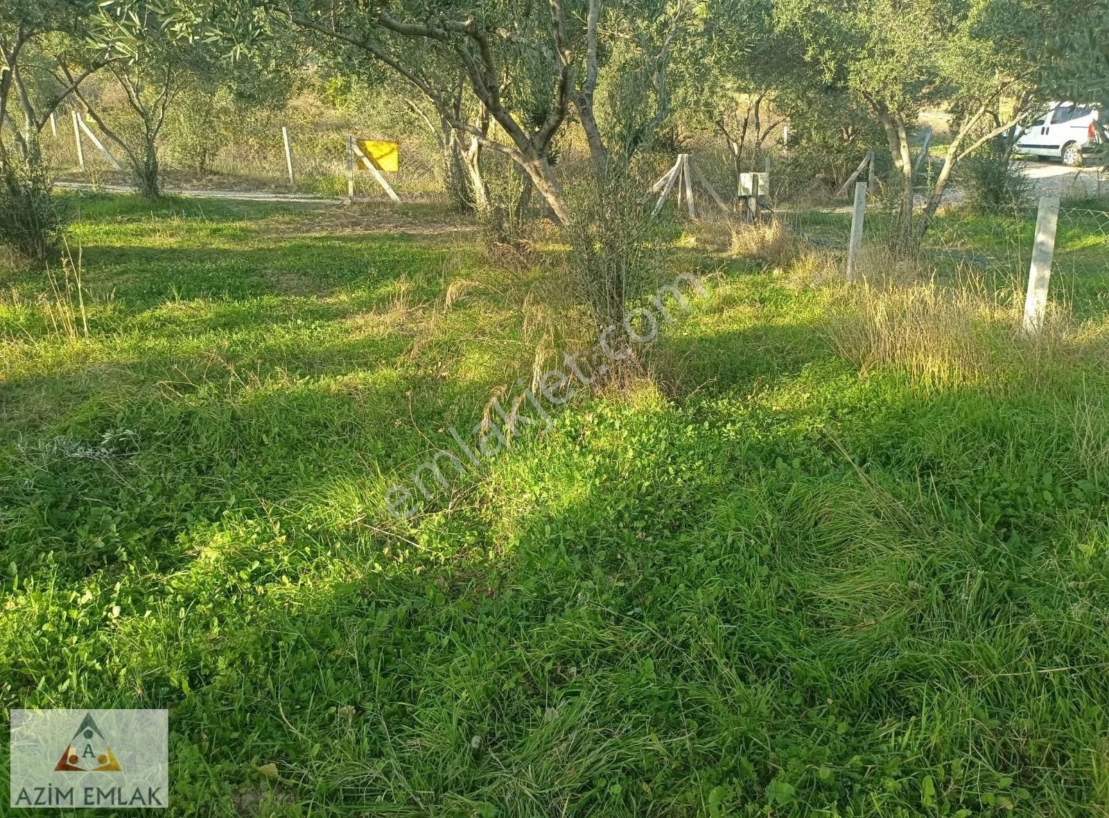 Dagkızılcada Satılık Bahçe - Görsel 5