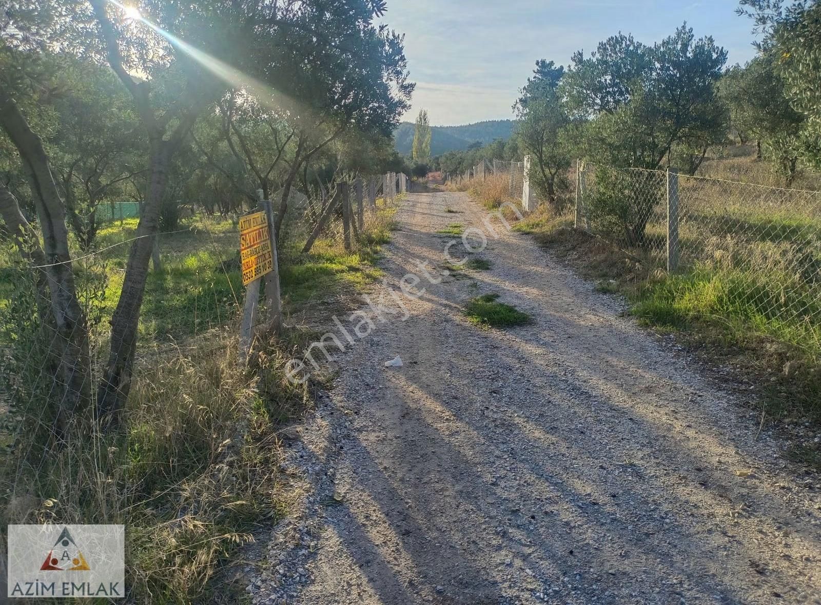 Dagkızılcada Satılık Bahçe - Görsel 15