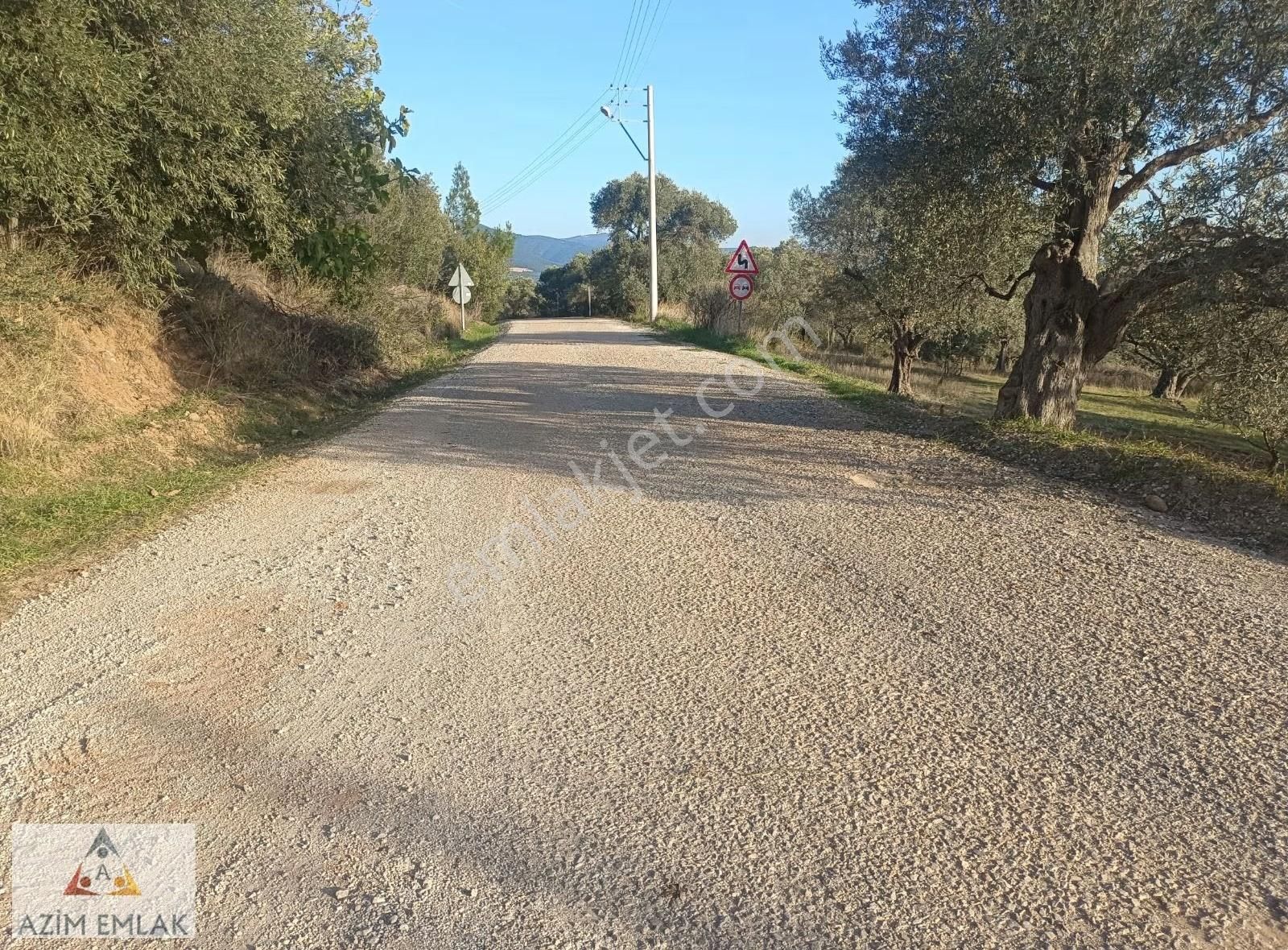 Dagkızılcada Satılık Bahçe - Görsel 9