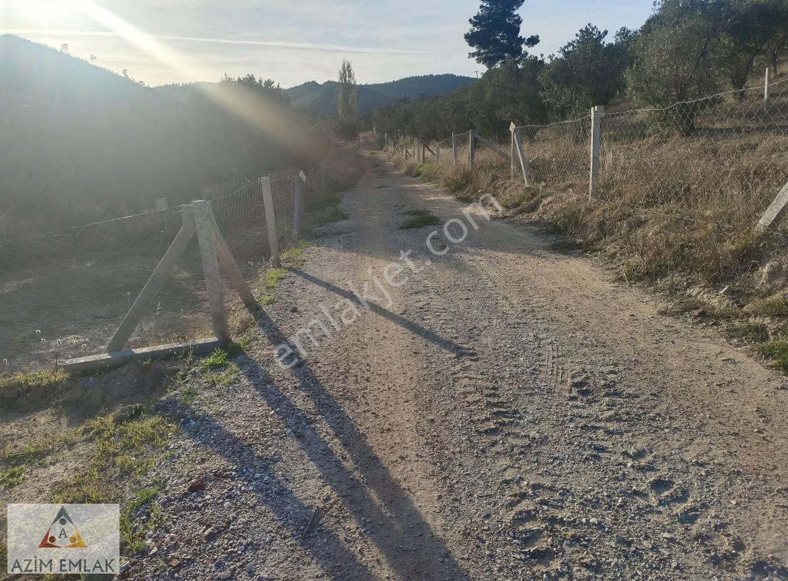 Dagkızılcada Satılık Bahçe - Görsel 14