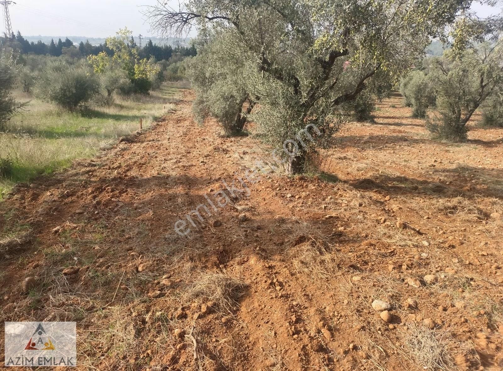 Buca Karacaağaç'ta Satılık 1.380 Metre Mirastan Bölümü - Görsel 6