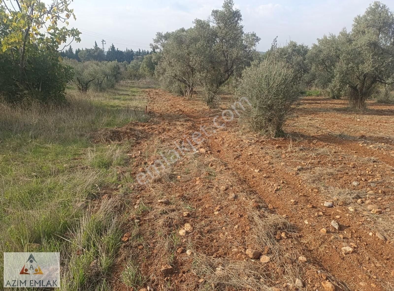 Buca Karacaağaç'ta Satılık 1.380 Metre Mirastan Bölümü - Görsel 3