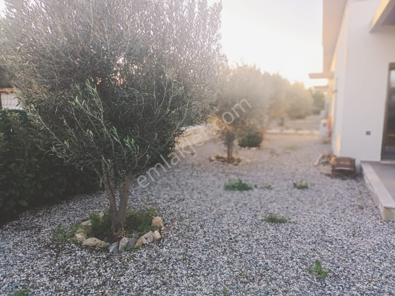 Çeşme Dalyan Marina Yakını Yıllık Kiralık Dubleks - Görsel 20