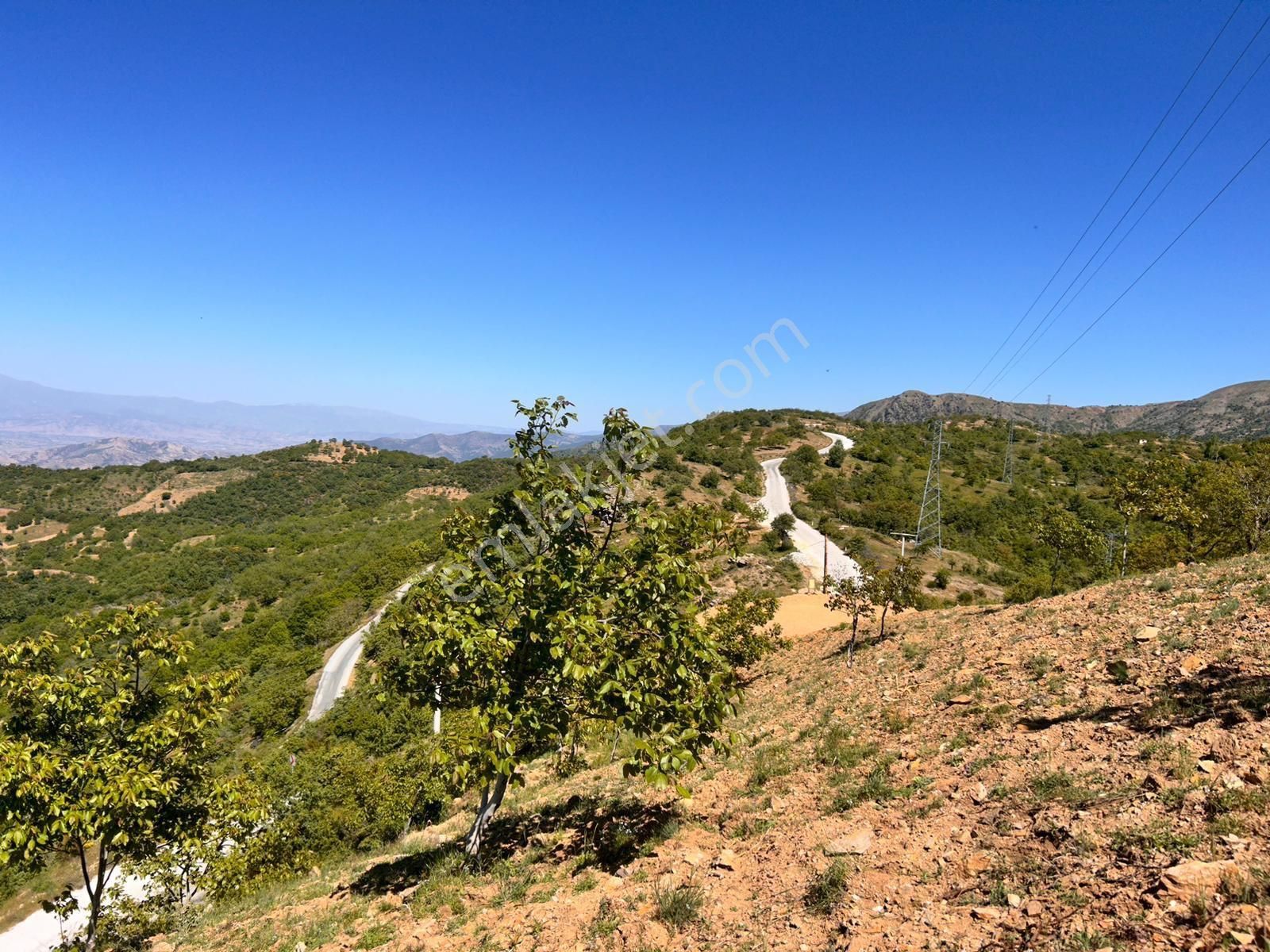 İzmir Tire Satılık Bahçe 3800 M2 Tek Ve Resmi Tapulu - Görsel 5