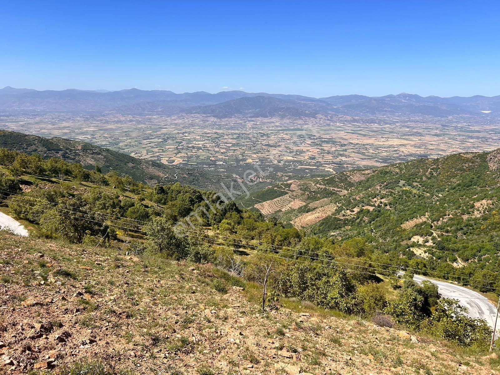 İzmir Tire Satılık Bahçe 3800 M2 Tek Ve Resmi Tapulu - Görsel 9