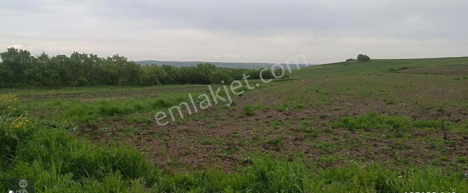 Edirne Uzunköprü Kurttepe. Köye Yakın Asfalt Ve Orman Cephe - Görsel 28