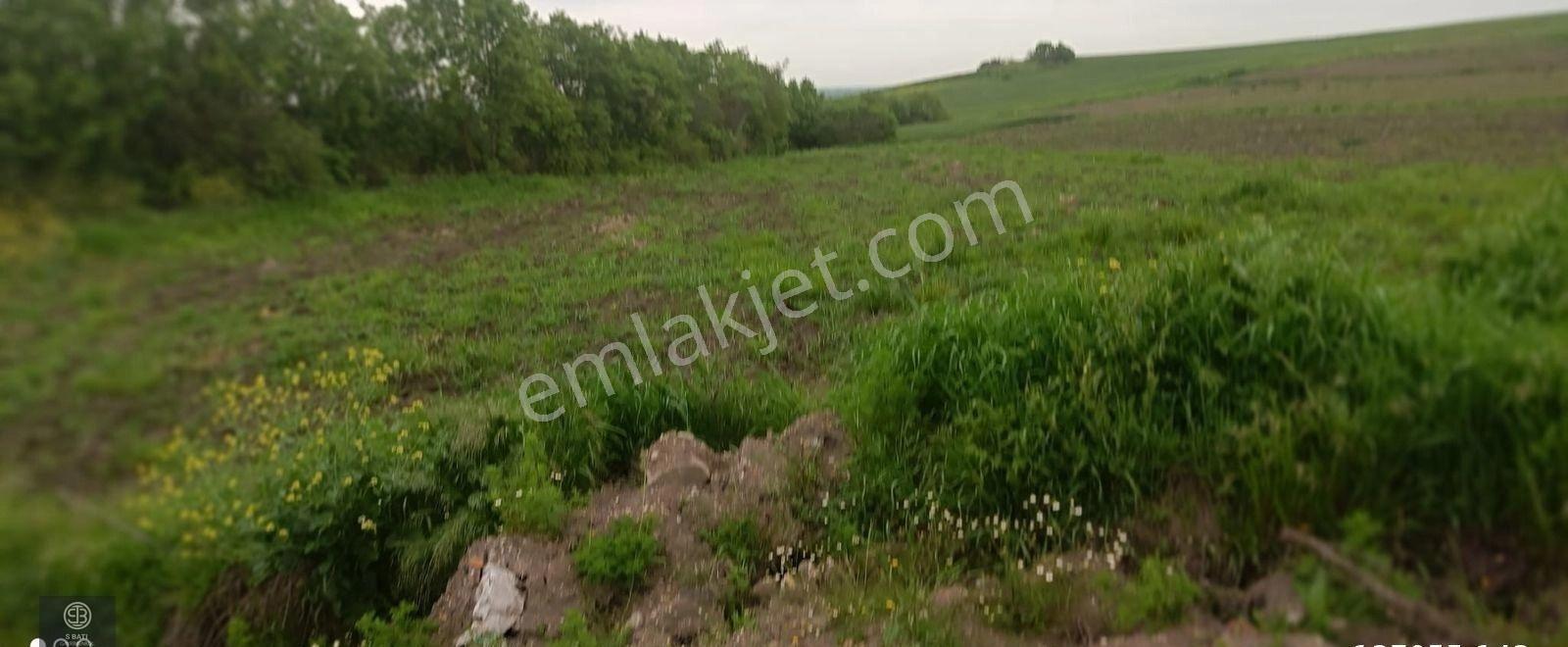 Edirne Uzunköprü Kurttepe. Köye Yakın Asfalt Ve Orman Cephe - Görsel 13