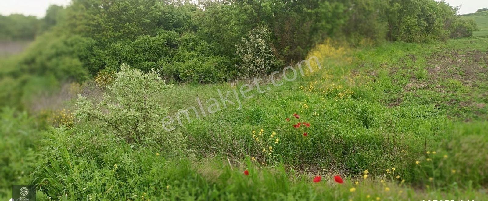 Edirne Uzunköprü Kurttepe. Köye Yakın Asfalt Ve Orman Cephe - Görsel 35