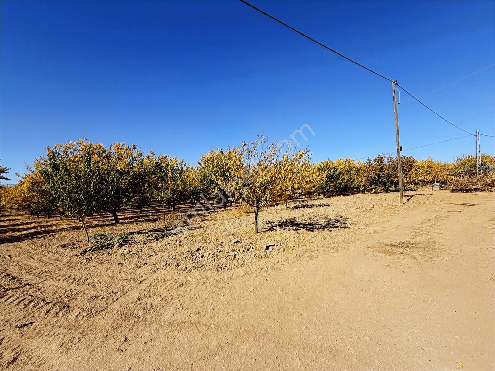 Coldwell Banker Safir'den Havaalanı Yoluna Komşu Satılık Bahçe - Görsel 14