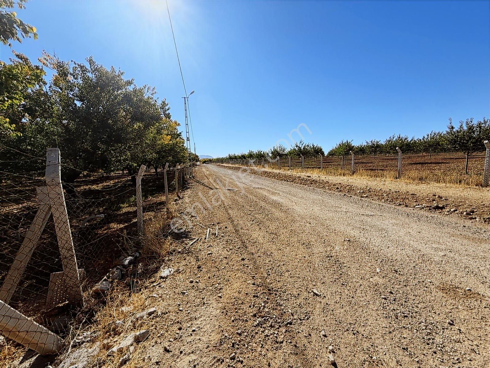 Coldwell Banker Safir'den Havaalanı Yoluna Komşu Satılık Bahçe - Görsel 5