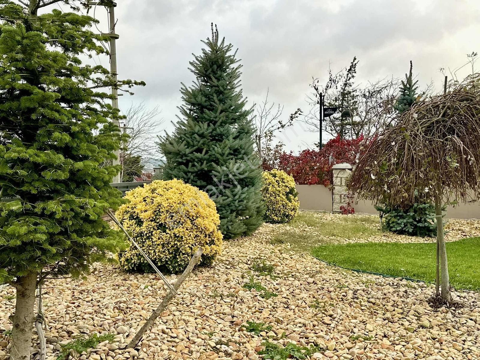 [kassel Yapı] 1000m2 Bahçe-müstakil Havuz-7+1 Ultra Lüks Villa!! - Görsel 4