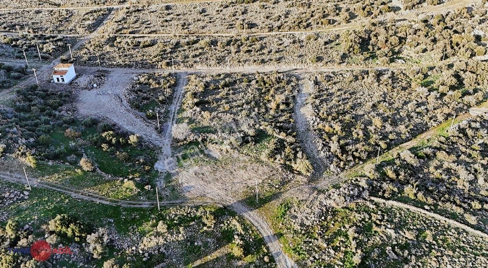 Çandarlı Eykoda Satılık | Denize Yakın | 2,5 Kat İmarlı Arsa - Görsel 4