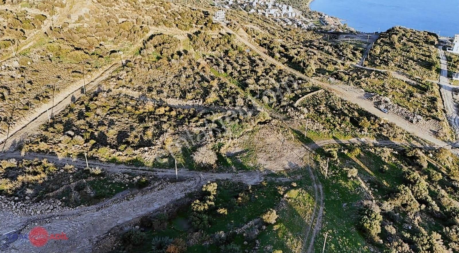 Çandarlı Eykoda Satılık | Denize Yakın | 2,5 Kat İmarlı Arsa - Görsel 5