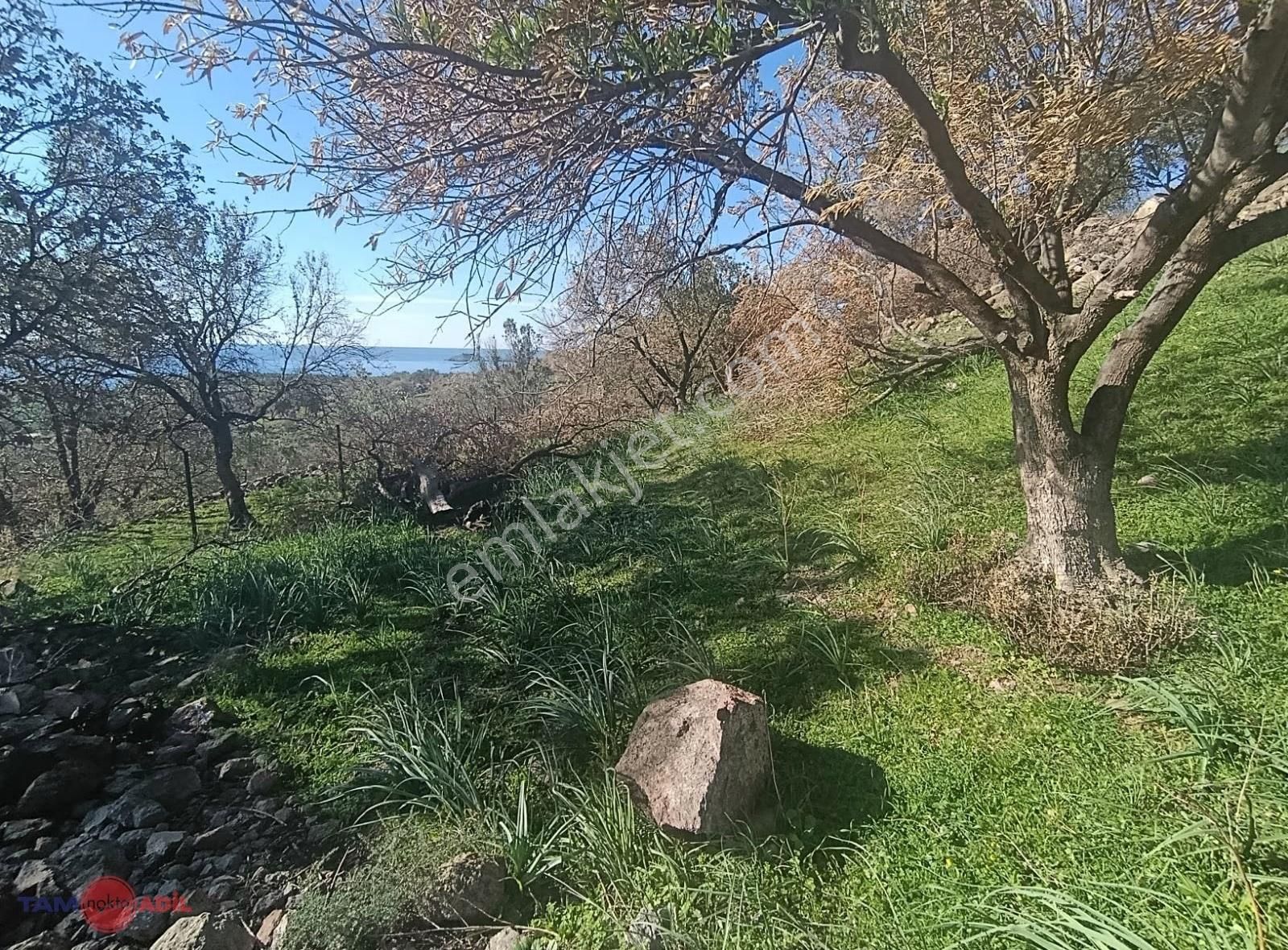 Denizköyde 1.300 M² Full Deniz Manzaralı Satılık Arazi - Görsel 23