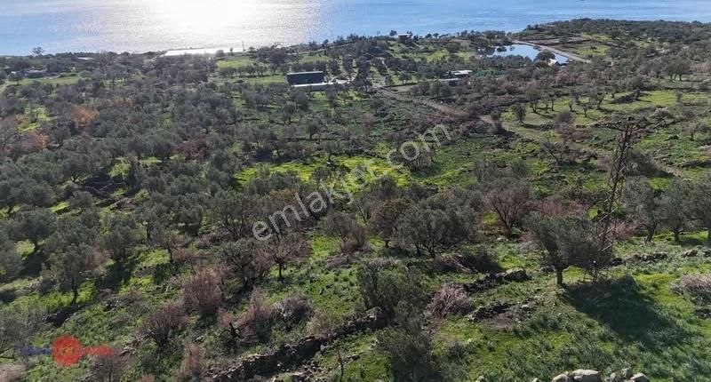 Denizköyde 1.300 M² Full Deniz Manzaralı Satılık Arazi - Görsel 16