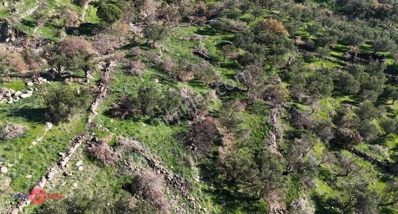 Denizköyde 1.300 M² Full Deniz Manzaralı Satılık Arazi - Görsel 6